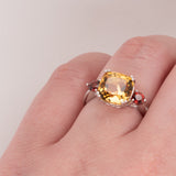 Melina Citrine Garnet Ring - Heron and Swan